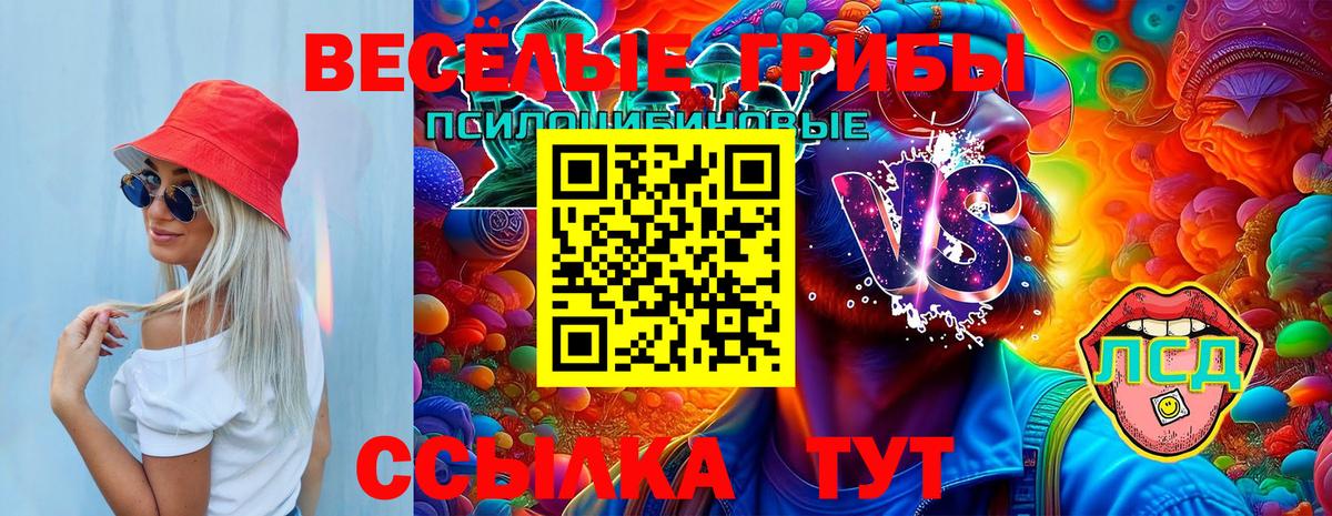 Псилоцибиновые грибы Cubensis Воркута