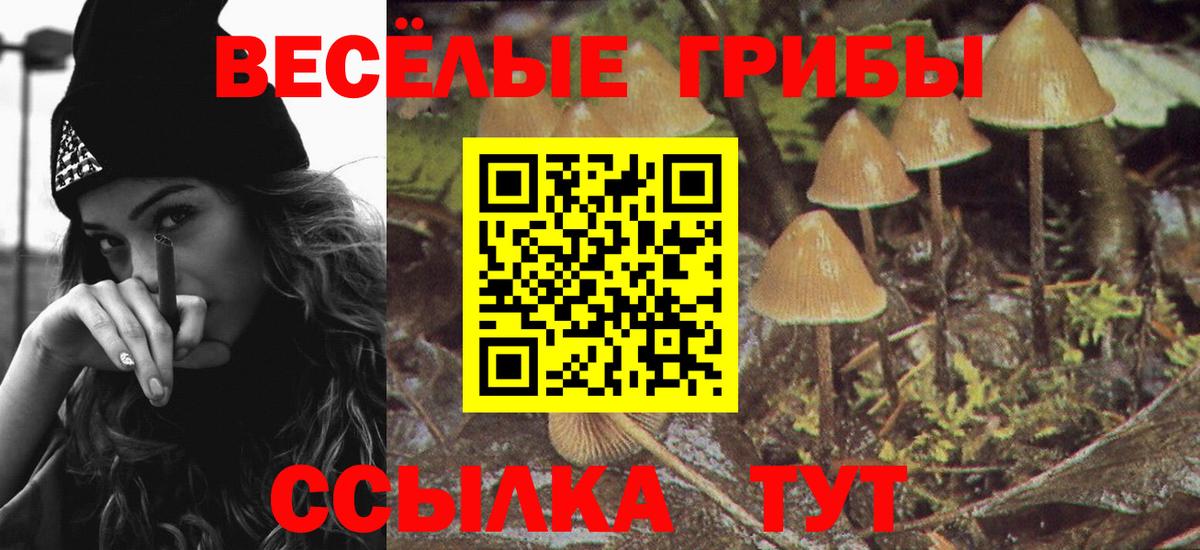 Галлюциногенные грибы прущие грибы  Галлюциногенные грибы ЛСД  купить наркотик  Вход с VPN  Воркута 